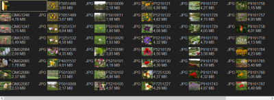 fc Thumbnail labels view_1.png