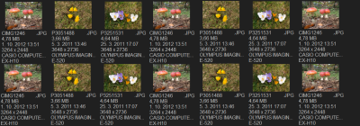 fc Thumbnail labels view_3.png